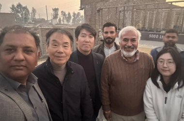 adobe express file (10)