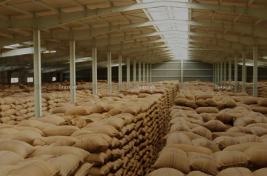 Home adobe express file (11)