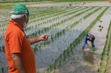 adobe express file (16)