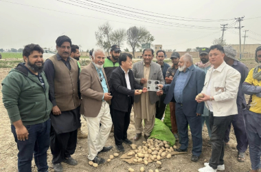 adobe express file (3)