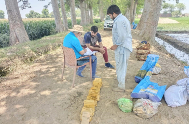 adobe express file (4)