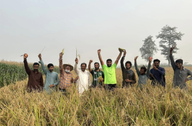 adobe express file (5)