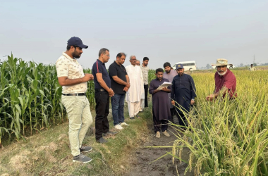 adobe express file (6)