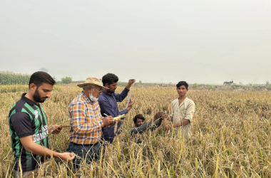 adobe express file (7)