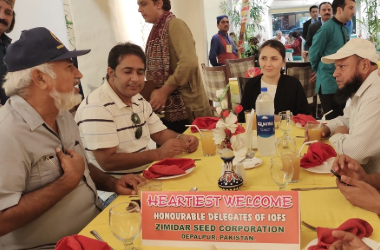 adobe express file (8)