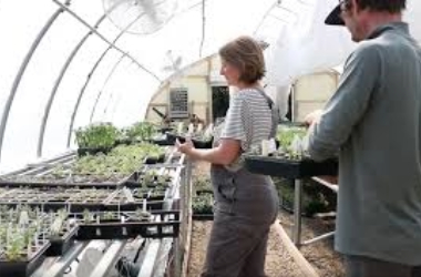 Home adobe express file (8)